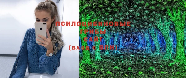 jwh Краснослободск