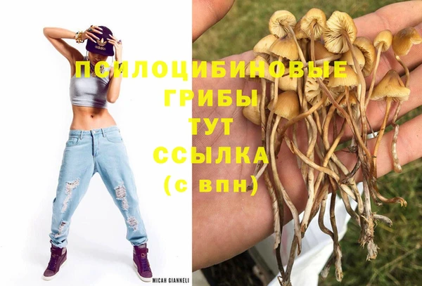 герыч Краснотурьинск
