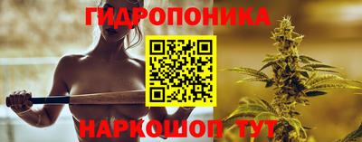 дмт Обь