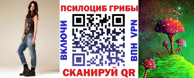 MEGA как войти  купить наркоту  Новошахтинск  Галлюциногенные грибы GOLDEN TEACHER 