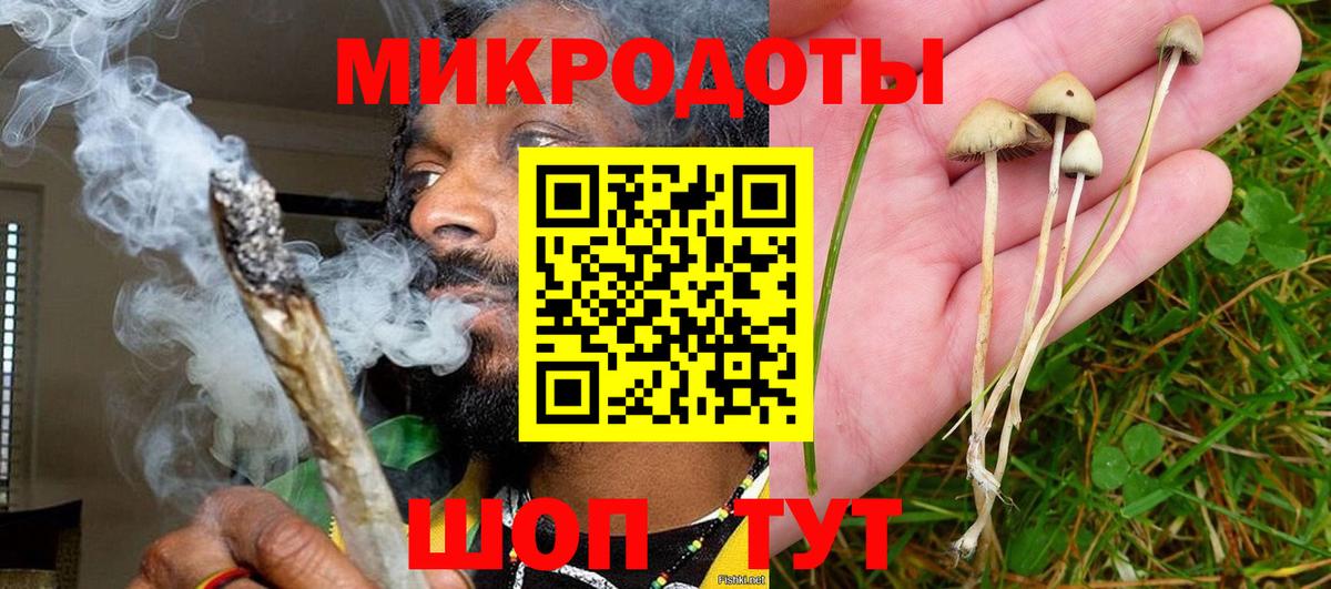 Новошахтинск  Псилоцибиновые грибы мицелий  Вход с VPN 