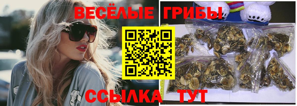Галлюциногенные грибы ЛСД Новошахтинск