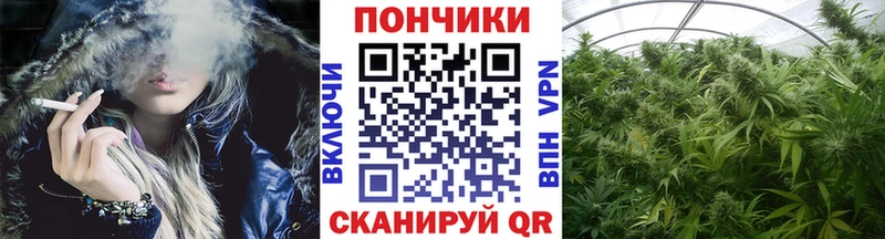 Бошки марихуана индика  дарнет шоп  Новошахтинск 